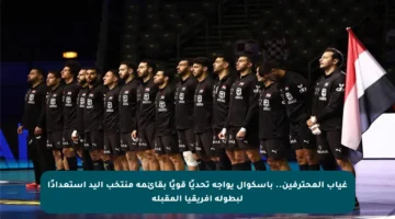 غياب المحترفين.. باسكوال يواجه تحديًا قويًا بقائمة منتخب اليد استعدادًا لبطولة إفريقيا المقبلة